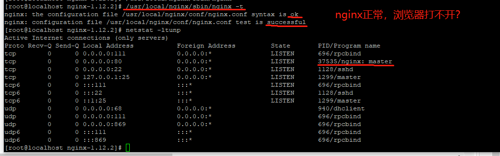 nginx